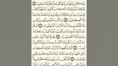ماهر المعيقلي سورة العنكبوت مكتوبة صفحة 402 مصحف المدينة المنورة جودة عالية