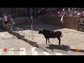 Tv San Adrian - 29/07/2019 - Fiestas - Encierro