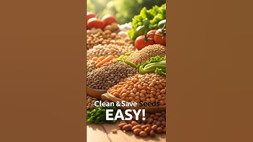 Step by Step Seed Cleaning and  Saving