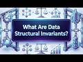 What Are Structural Invariants? The Stability Rules Behind Data Structures