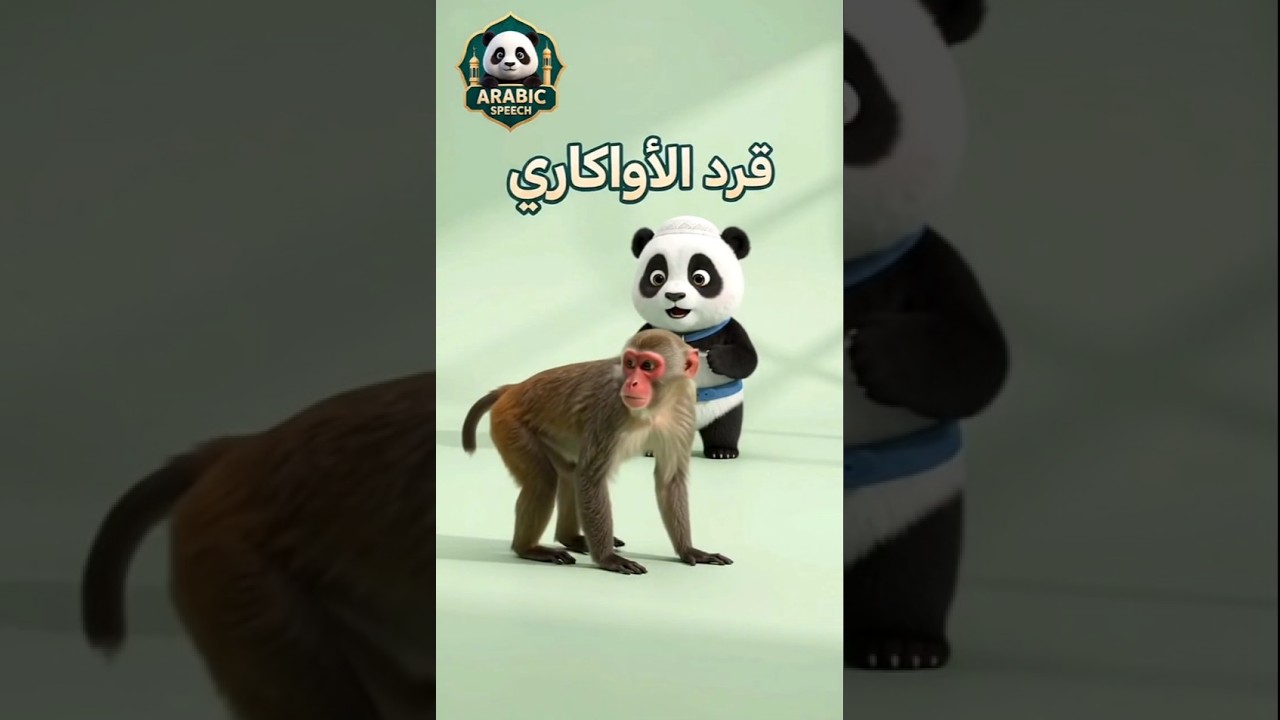 🐒Meet 12 Amazing Monkey Species in Arabic! 🌍 | Learn Animal Names in Arabic | ARABIC SPEECH #shorts