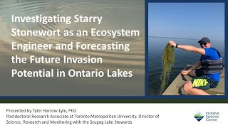 Investigating starry stonewort as an ecosystem engineer & forecasting the future invasion potential
