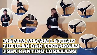 Macam - macam Latihan Pukulan Dan Tendangan PSHT Ranting Losarang