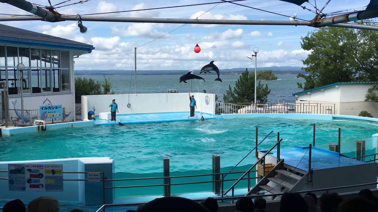のとじま水族館イルカショー Youtube