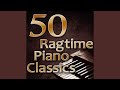 Palm Leaf Rag (Scott Joplin)