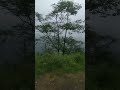 Himachal diaries