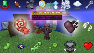 Minecraft 1.21.11 How Did We Get Here? Achievement Tutorial