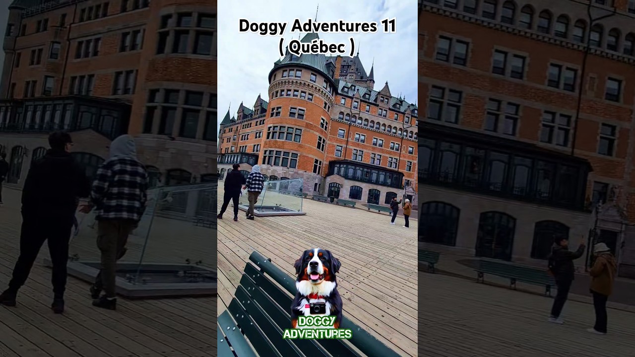 Doggy Adventures ( Short 11 / Québec ) 