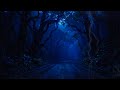 Sleep Better Tonight with Rain Sounds on a Forest Road