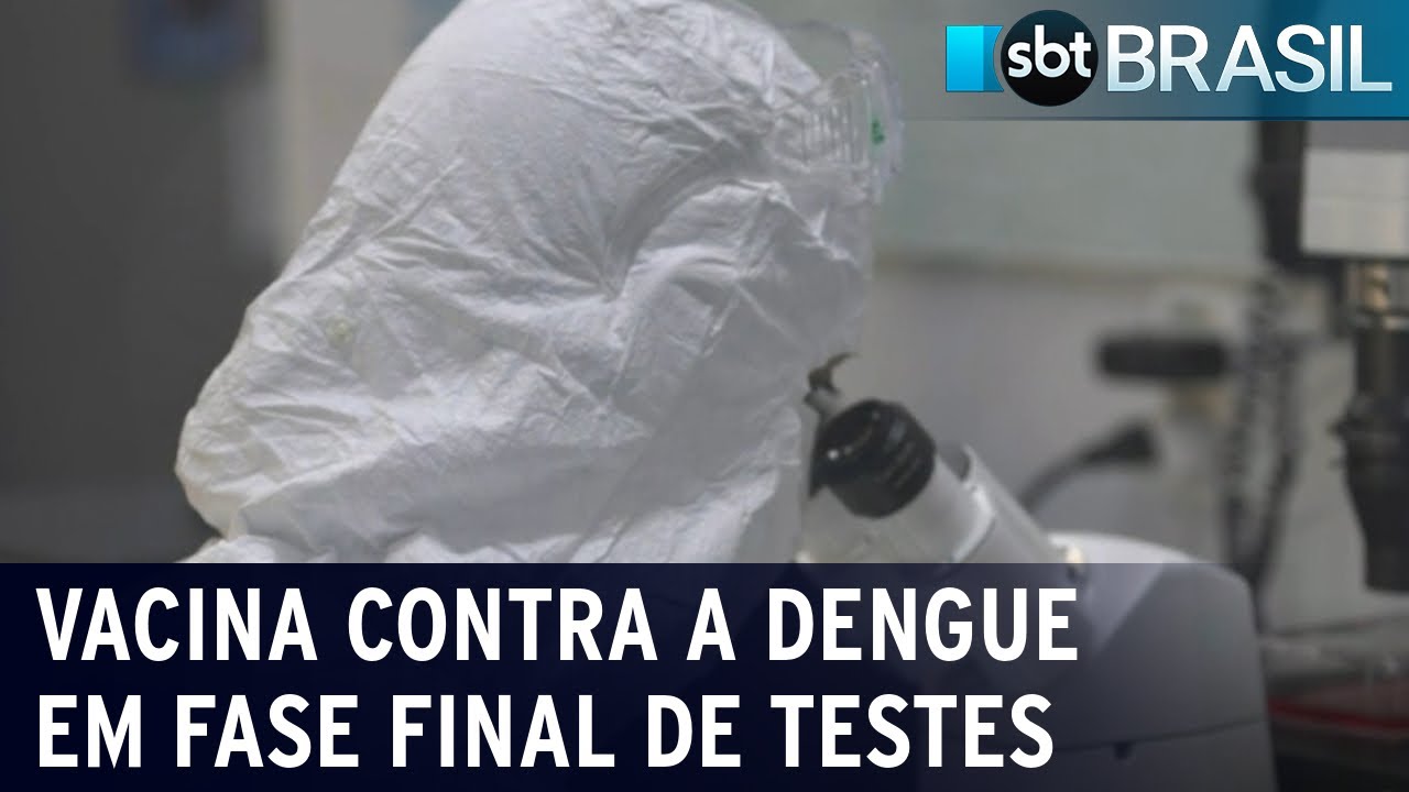 Vacina brasileira contra a dengue está em fase final de testes | SBT Brasil (12/11/22)