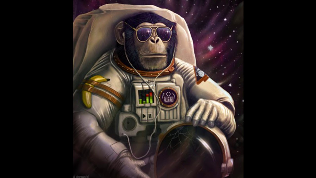 Space monkey. Обезьяна космонавт. Обезьяна космонавт арт. Обезьяна космонавт 1997. Постер обезьяны и космонавт.