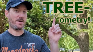 Tree-Ometry Estimating The Height Of Trees In Rollins Park, Concord, Nh Using Simple Techniques