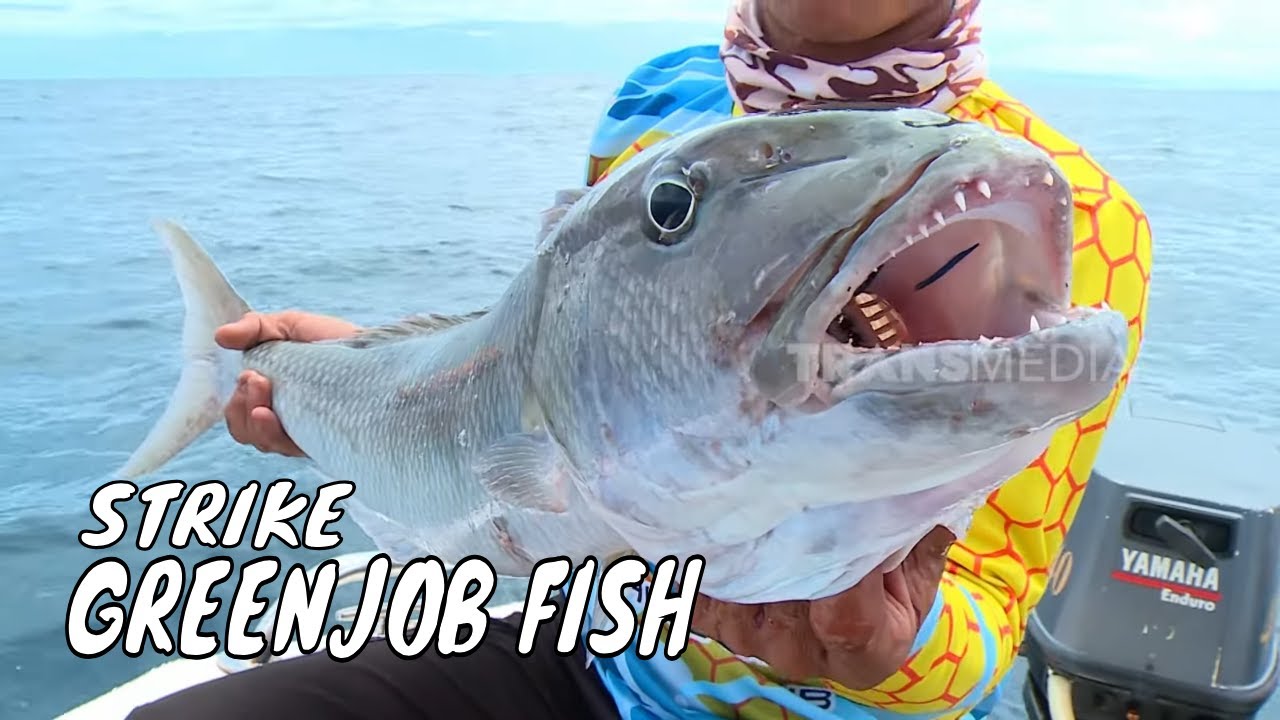 Battle Fishing Perairan Simeulue | MANCING MANIA STRIKE BACK (25/05/25) Part 1