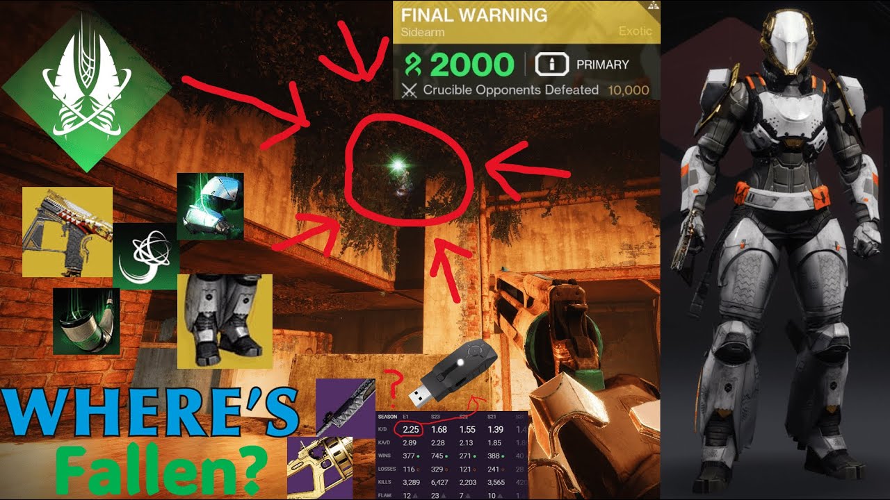 Final Warning Flies Again (10k Victims)