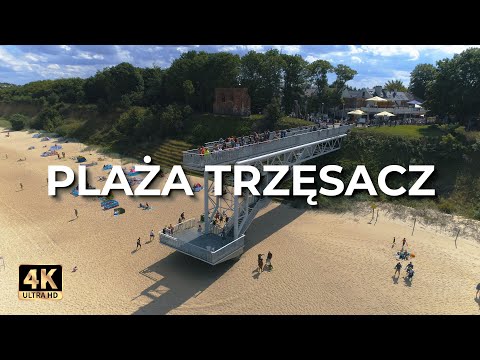 Trzęsacz z drona