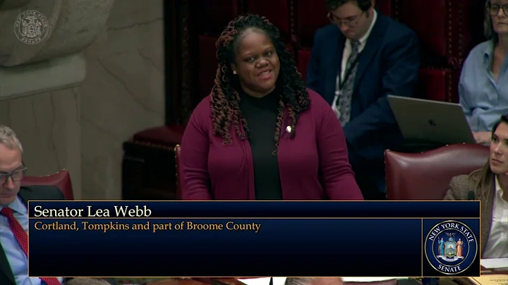 Senator Webb Explains her Vote on Budget Bill S40007-C (Health and Mental Hygiene)