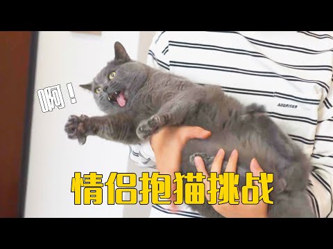 萌猫宝哥哥- YouTube