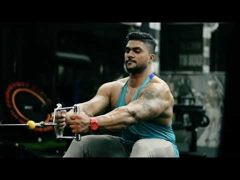 Seated Row | Perfect Form & Technique Guide