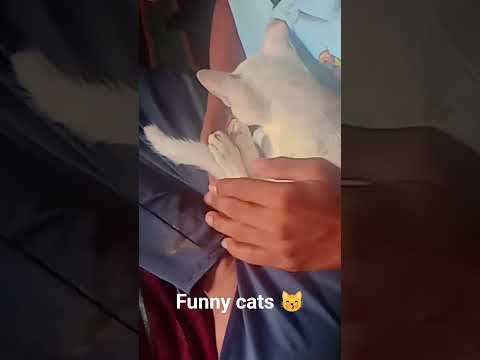 #song #newsong #love #trendingshorts #lyrics by Lyrics_Short_Video