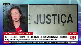 STJ Rules in Favor of Medicinal Cannabis Cultivation - Anvisa Has 6 Months to Regulate!