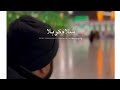 سلام کربلا باورم نمیشه اومدم کربلا کربلا امام حسین مداحی Maddahi 