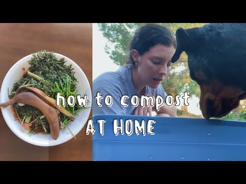 I made a compost bin for $5 / HOME COMPOSTING~ low waste