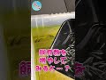 超ビビりのメダカさんを一瞬でリラックスさせる方法!! ＃Ｓ０７ ～美心めだか～ #Shorts