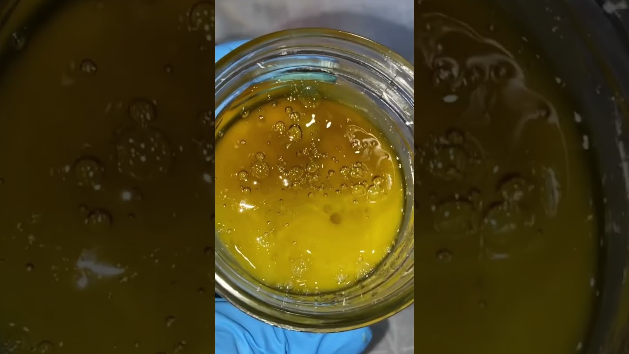 1lb+ Of Gush Mints Live Rosin