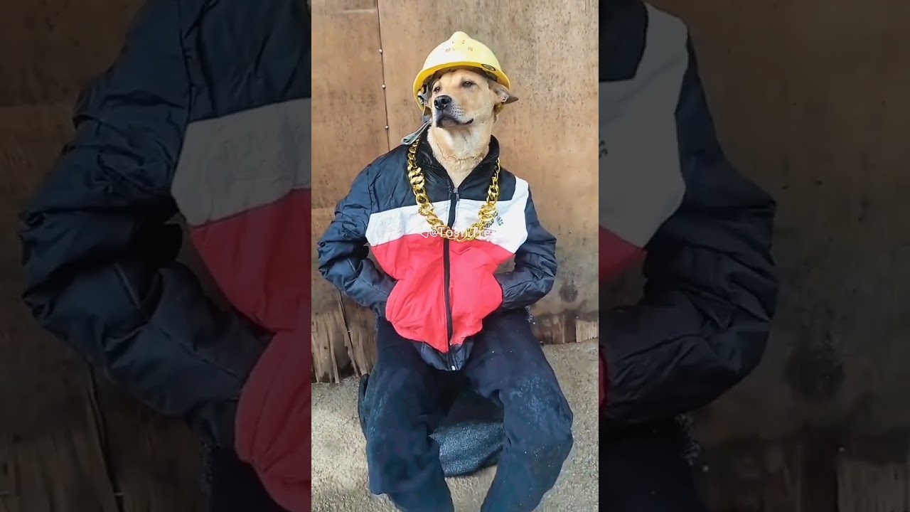 itmos obuna bulining