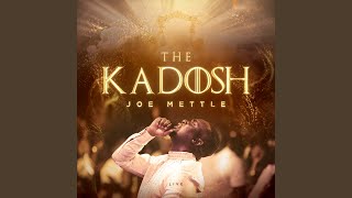 Miniatura de vídeo de "Joe Mettle - Among the Gods"