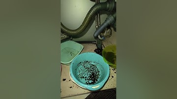 Xử Lý Nghẹt Cống Khu Đa Phước | Bồn Rửa Chén Không Thoát Nước – Thợ Có Mặt 10 Phút