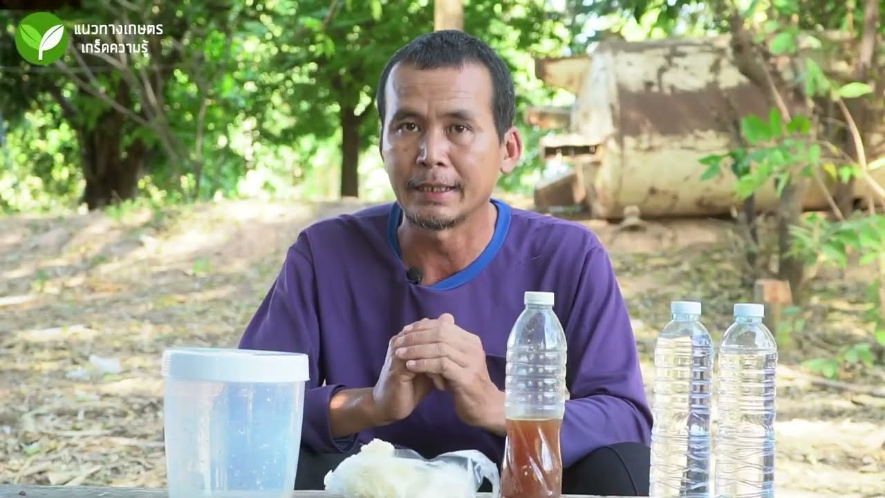 สูตรปุ๋ยหมักจากเศษข้าว ช่วยให้ผักงาม ผลแน่น ขั้วเหนียว ได้ผลิตเยอะ #ปุ๋ยหมัก #เศษข้าว #อนิติ