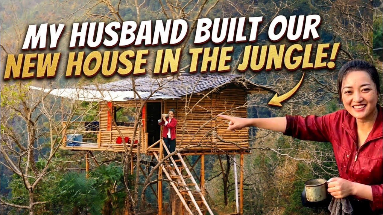 I Built an Insane Bamboo Treehouse on a Mountain Cliff – Full Build