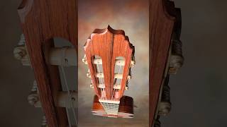 Professional level Druzhinin African Rosewood Classical guitar at Guitar Gallery TN.
