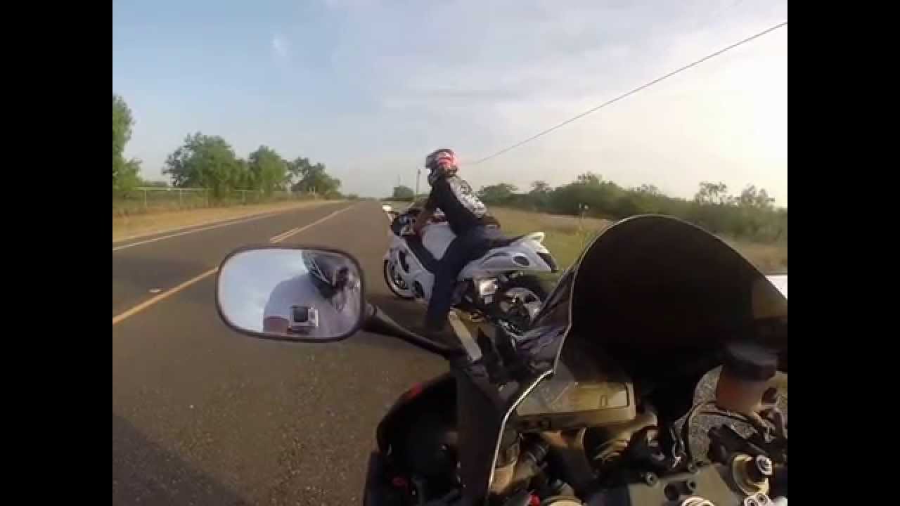 hayabusa vs cbr1000rr