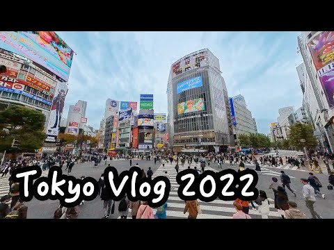 【東京Vlog2022】8號風球上機，玩足一個月！酒店Room Tour，東京站搵食攻略。銀座、有樂町Shopping！