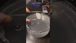 Surface Tension Magic 😱 | Free Energy of Liquid Experiment 💡 | Mind-Blowing l #facts #viralvideo