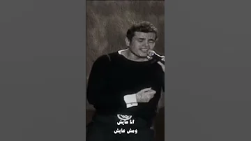 عمرو دياب محبتش غيرك واعمل ايه في شوقي وهوايا 
