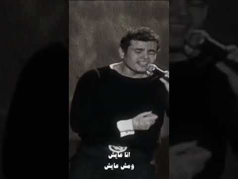 عمرو دياب محبتش غيرك واعمل ايه في شوقي وهوايا