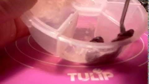 Polymer Clay Basics: Icing