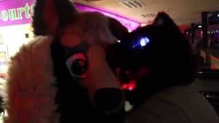 Fremont Furbowl Aug 14