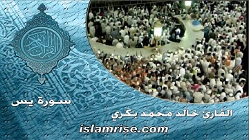سورة يس ( القارئ الشيخ خالد محمد بكري )