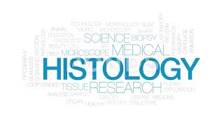 Histology practical lab 4 | Connective Tissue | Dr. Byson EM🩺