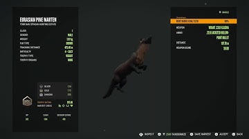 🎄LIVE:WELCOME TO TO SCOTLAND!!! TORR NAN SITHEAN: THE HUNTER