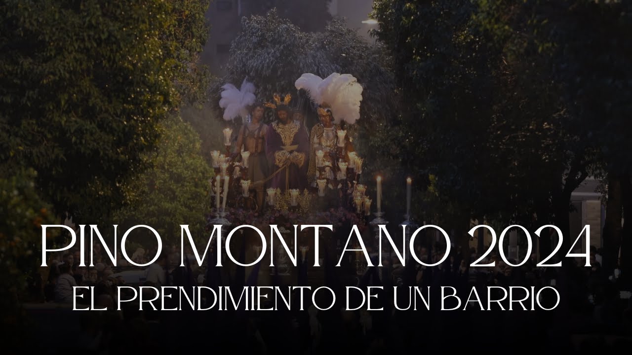 HDAD. DE PINO MONTANO 2024 | A.M. NTRA. SRA. DE LA ENCARNACIÓN