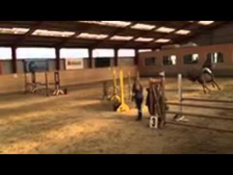 Ebonys Star LB** 3. plads  (Egum rideklub)