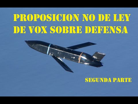 #16 Comentarios adicionales a una propuesta de VOX