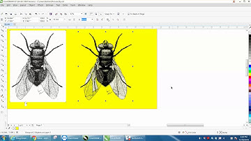 Corel Draw Tips & Tricks Remove white back ground Part 3