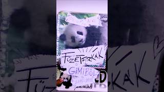 Gyűjtemény A Gimis Füzetfirkáimból