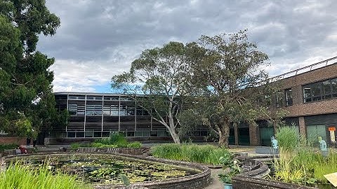 The Kew Internship Program